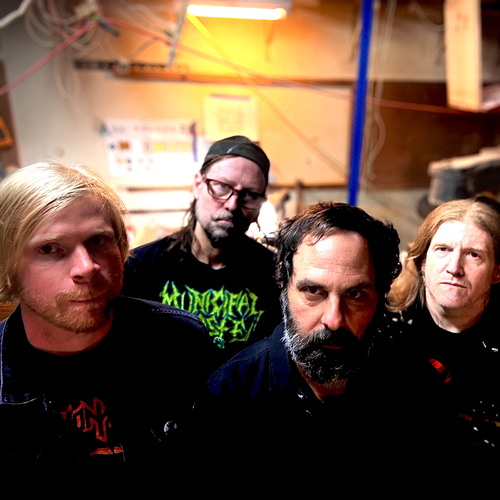 Electric Python Band Photo