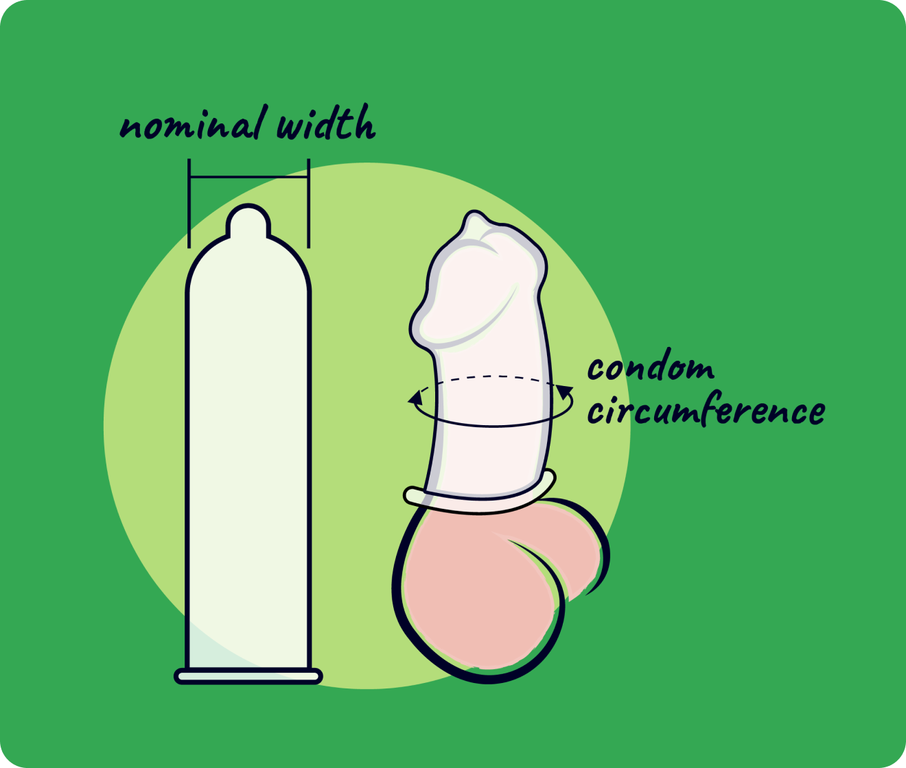 nominal width. condom circumference condom icons with green background.
