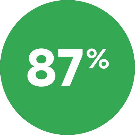 Green circle with the number 87 inside, representing a percentage.